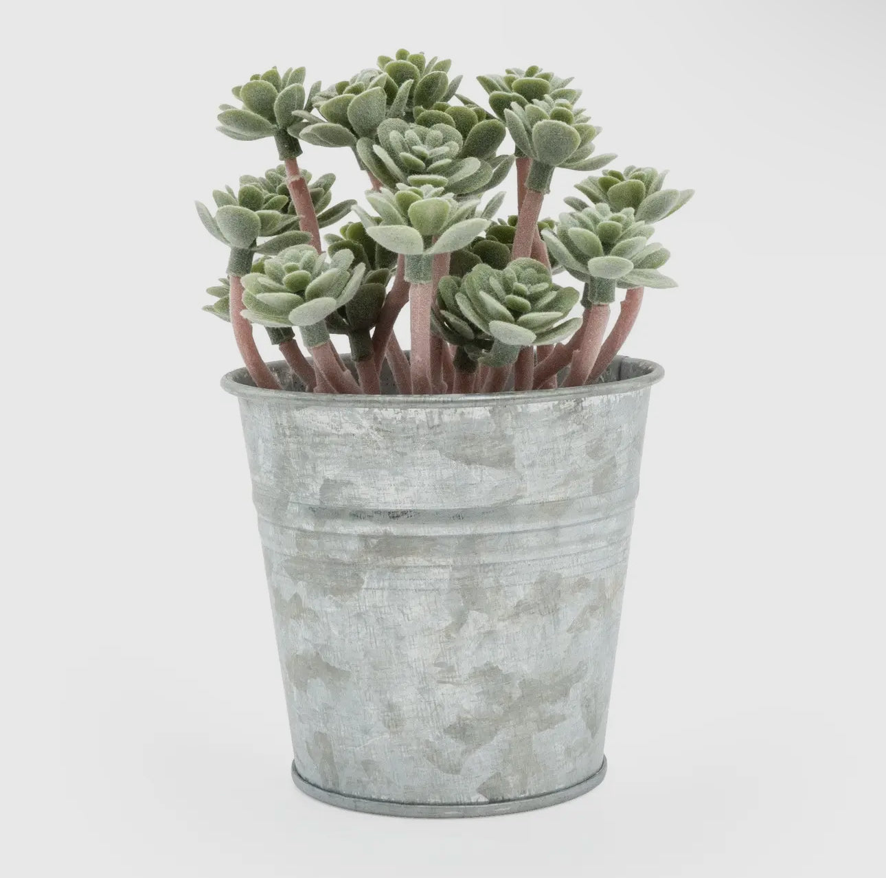 Artificial Sedum Succulent