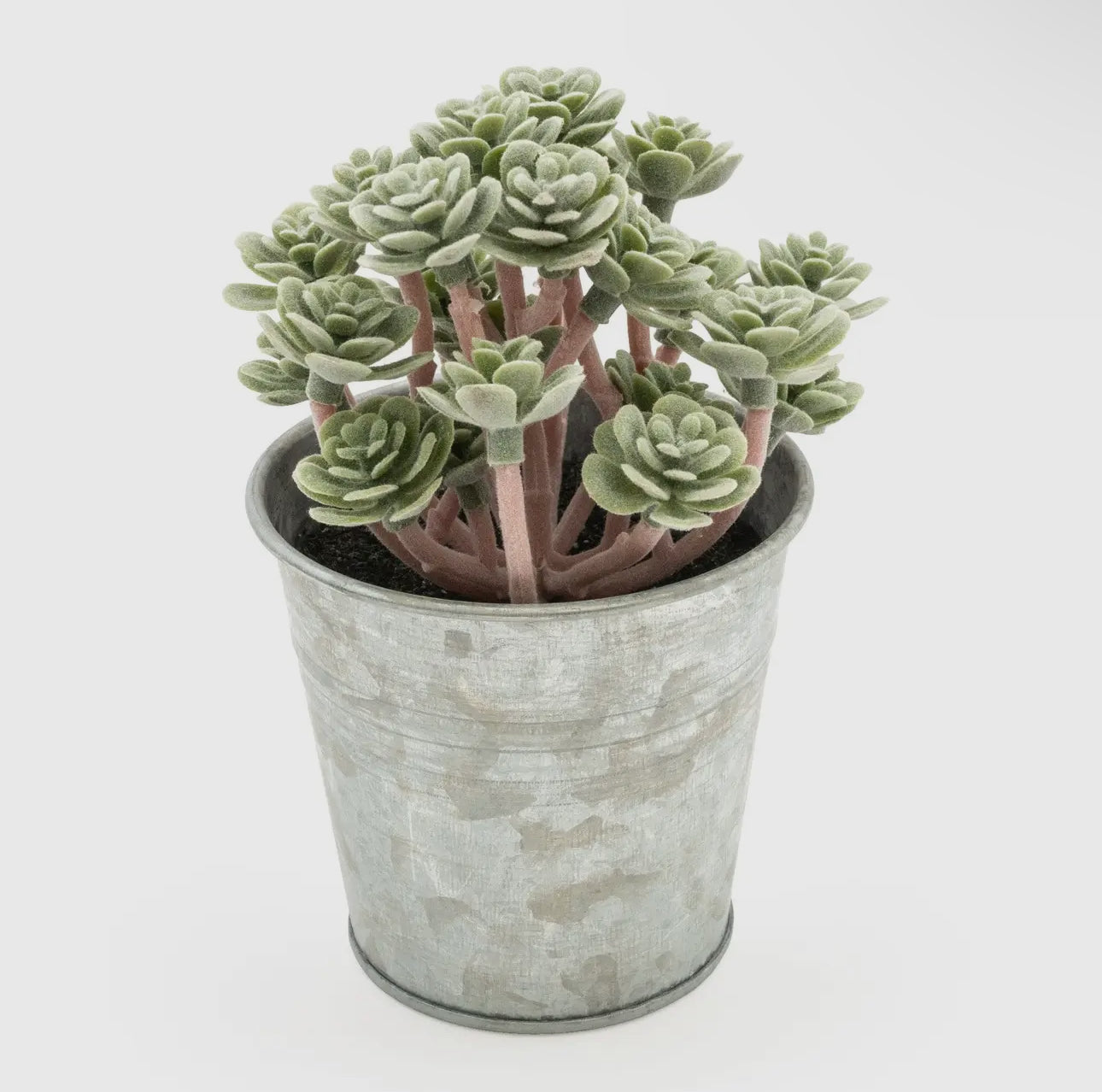 Artificial Sedum Succulent