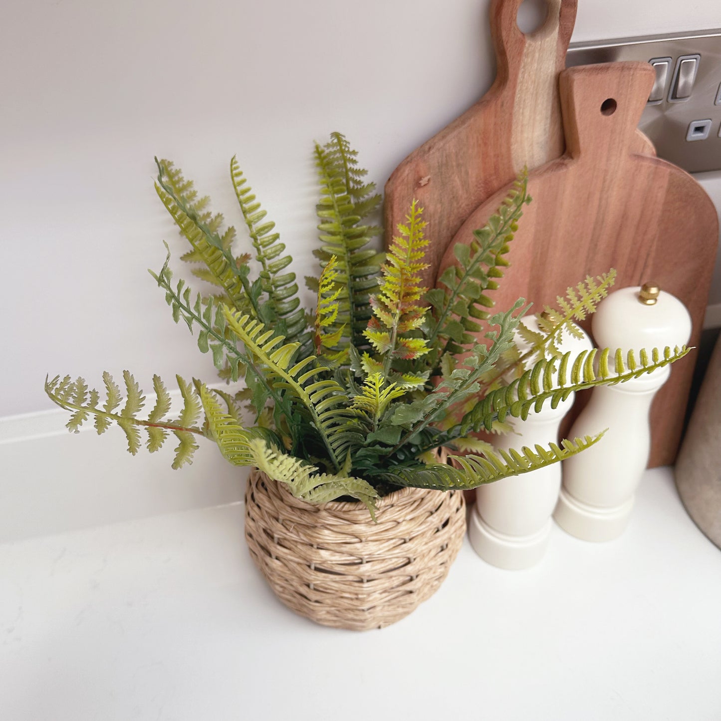 Fern in Rattan Pot