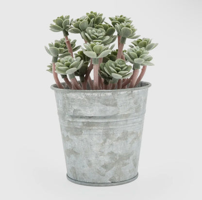 Artificial Sedum Succulent