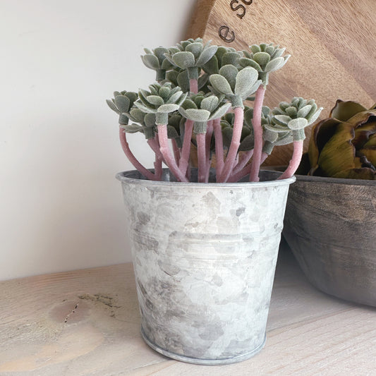 Artificial Sedum Succulent