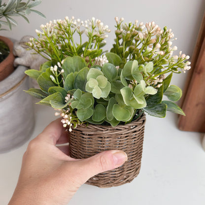Babysbreath & Eucalyptus in Wicker Basket