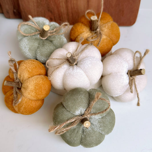 Set of 6 Velvet Pumpkins
