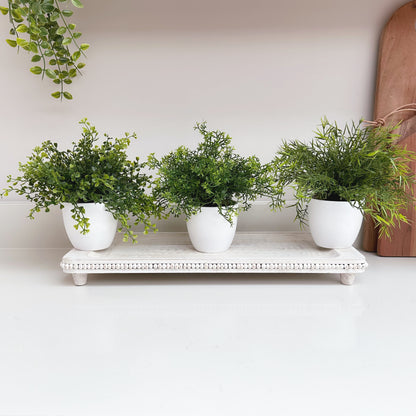 Artificial Plant - Available in 3 Styles