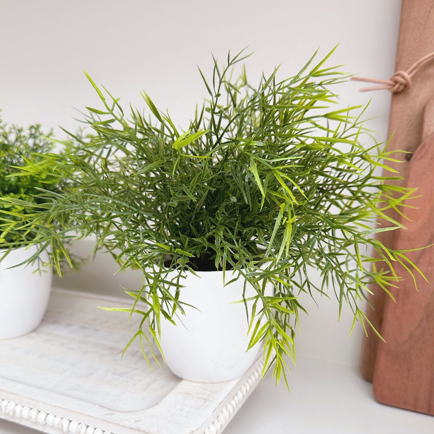 Artificial Plant - Available in 3 Styles