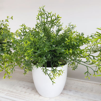 Artificial Plant - Available in 3 Styles