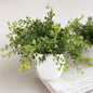 Artificial Plant - Available in 3 Styles