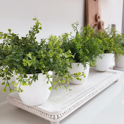 Artificial Plant - Available in 3 Styles