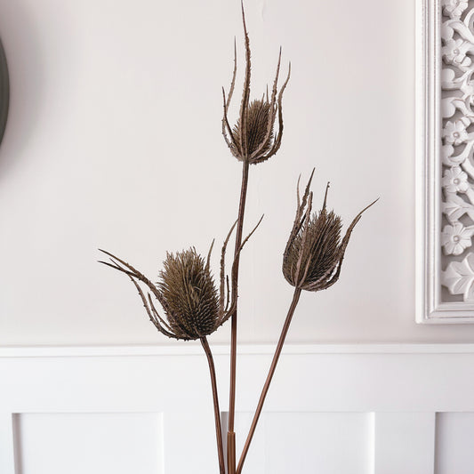 Brown Triple Teasle Stem