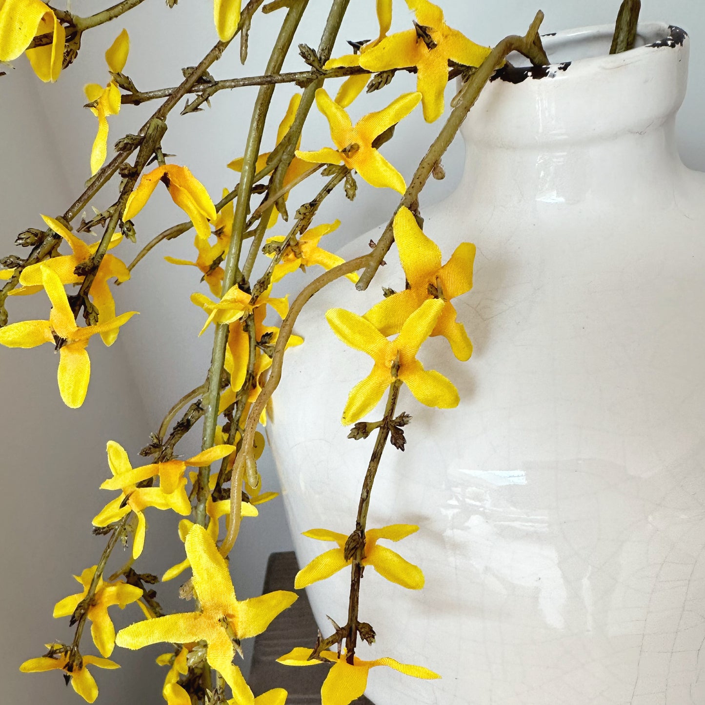 Burnt Orange & Yellow Forsythia Stem