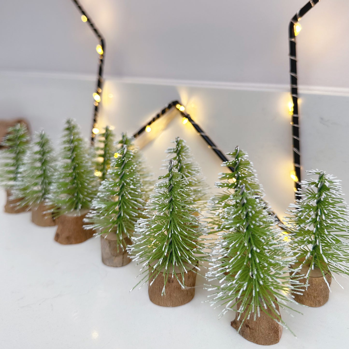 Pack of 12 Snowy Bristle Trees