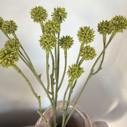 Green Craspedia Stem