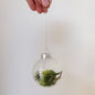 Glass Filled Bauble - Available in 4 Styles