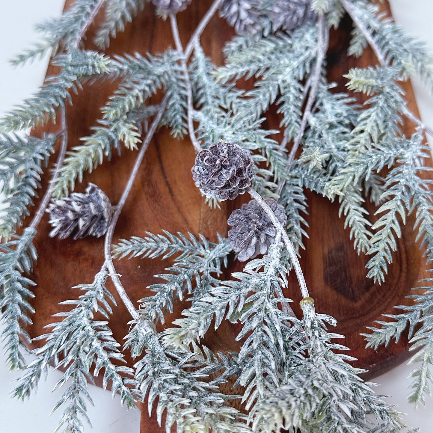 Pine and Pinecone Stem