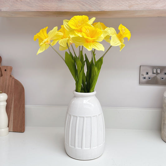 Single Daffodil Stem